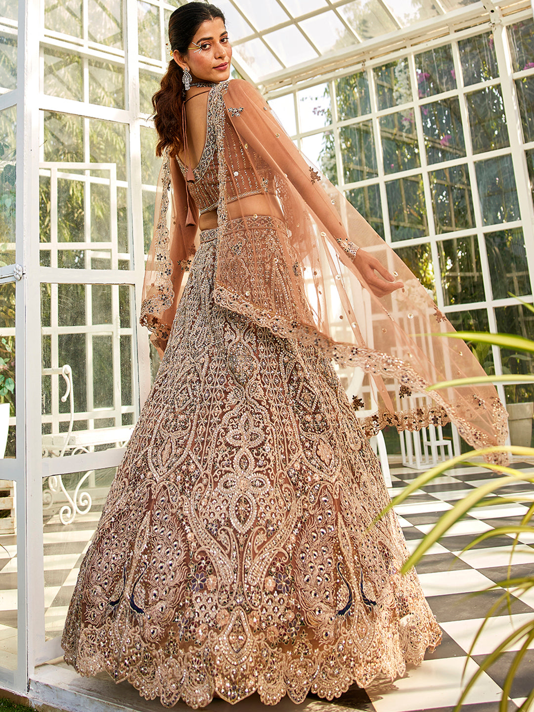 Brown net with Beads & Zarkan embroidery Lehenga choli & Dupatta
