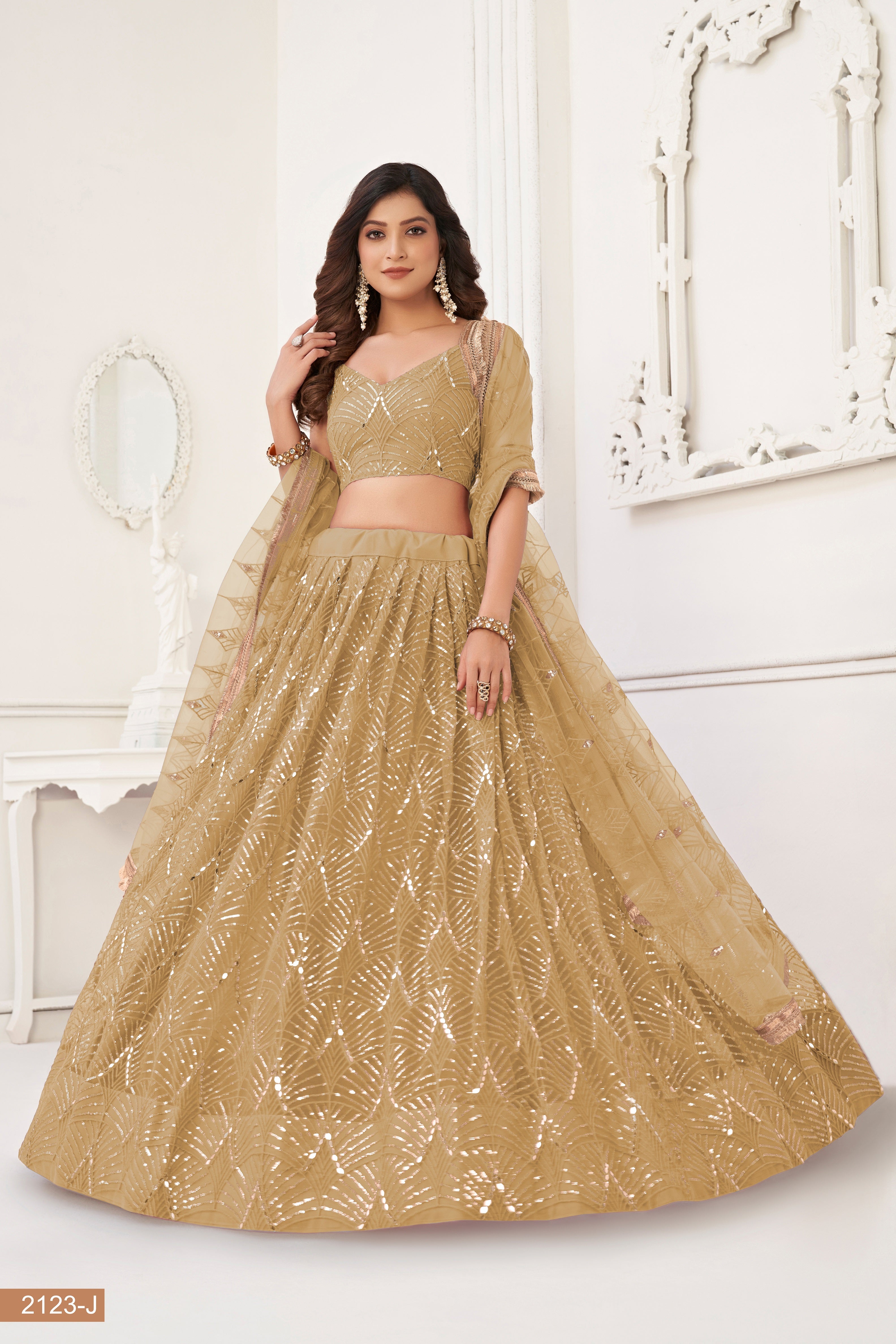 Beige Net With sequin work Lehenga