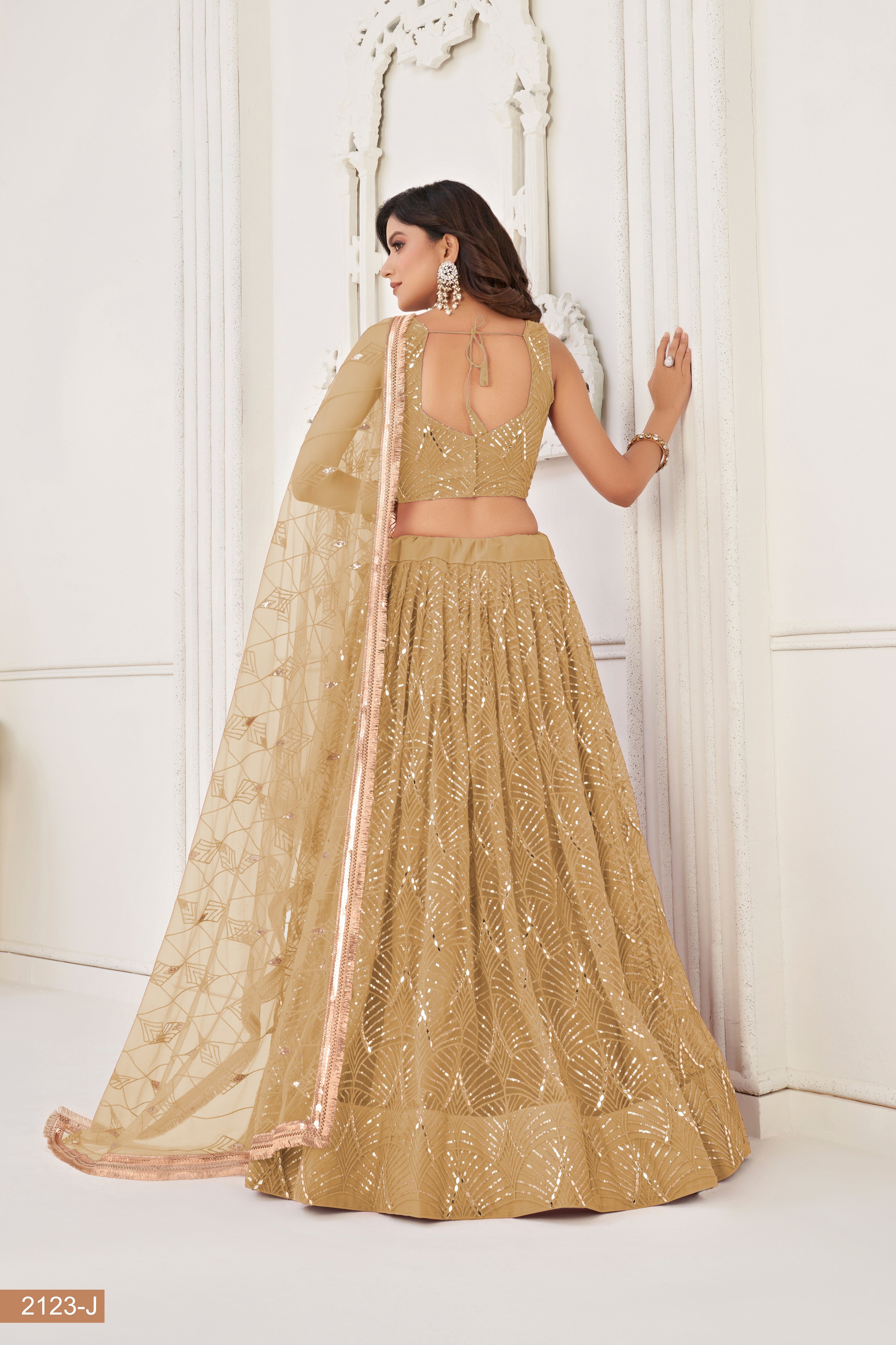 Beige Net With sequin work Lehenga