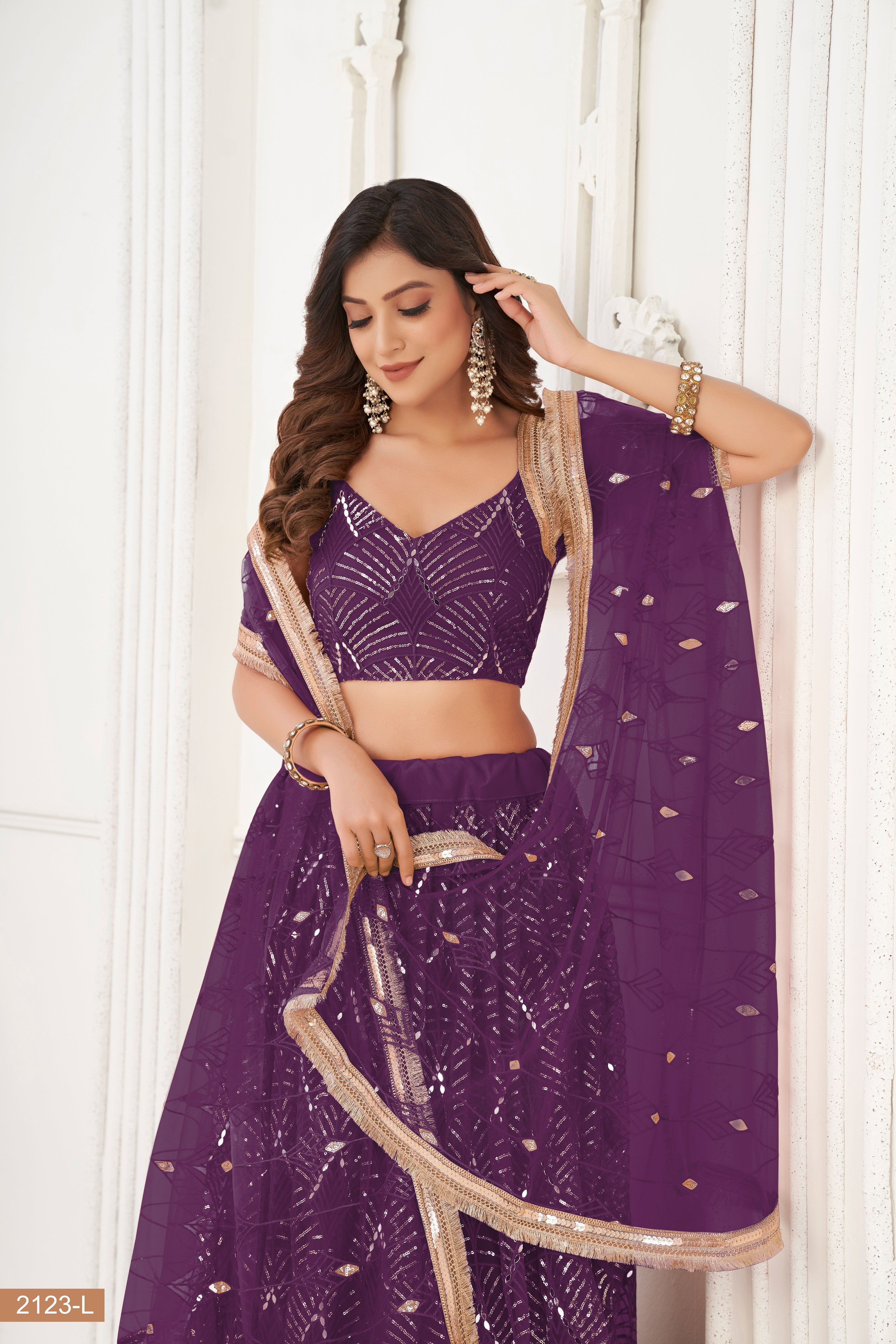 Wine Net With sequin work Lehenga