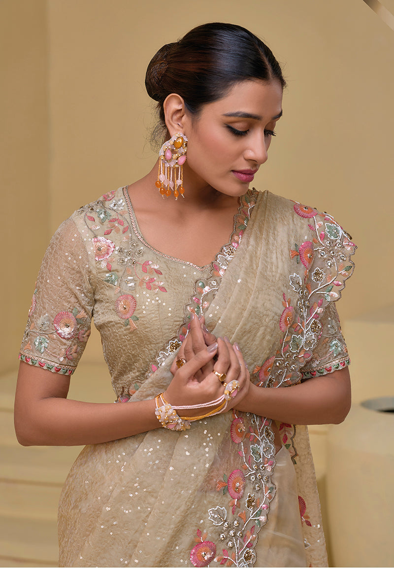 Beige Sequins Work Tissue Saree
