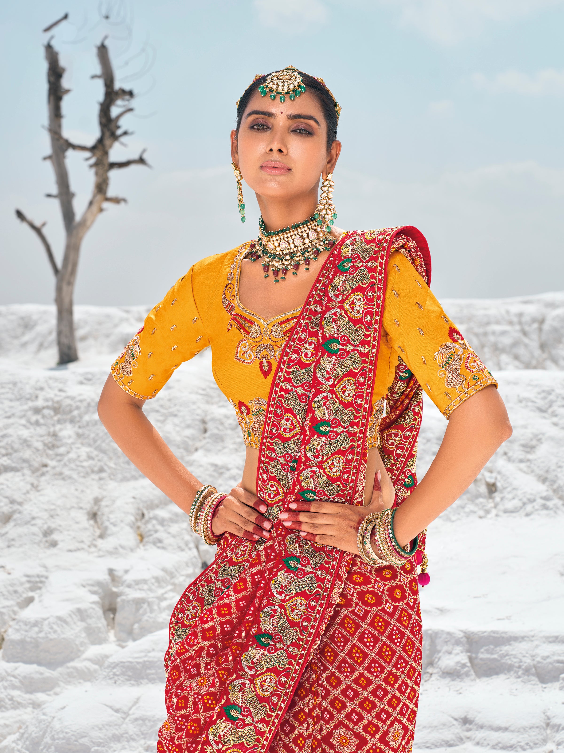 Red Bandhani Patola Printed Saree With Embroidery Work With Two Blouses