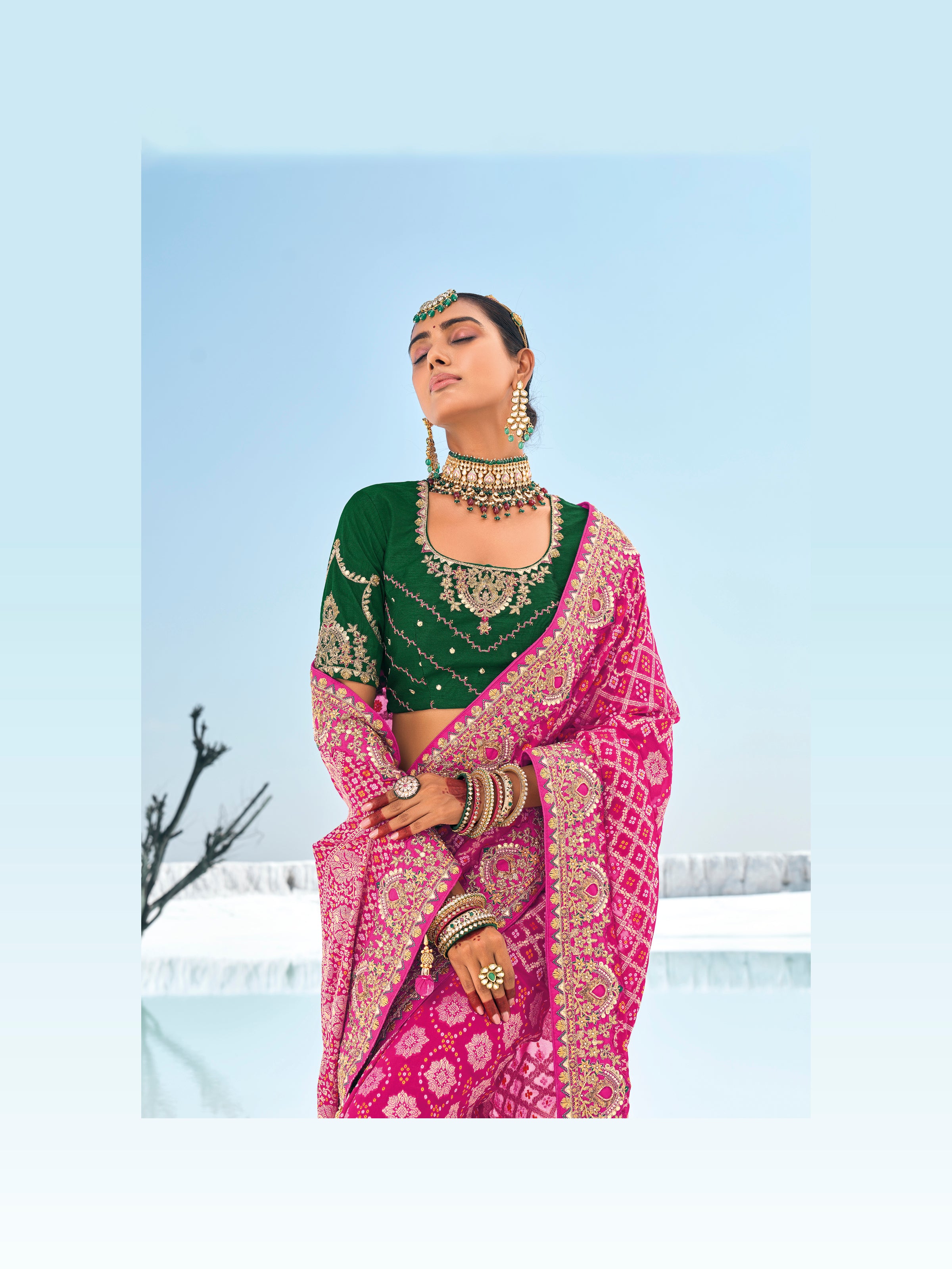 Rani PinkBandhani Patola Printed Saree With Embroidery Work With Two Blouses