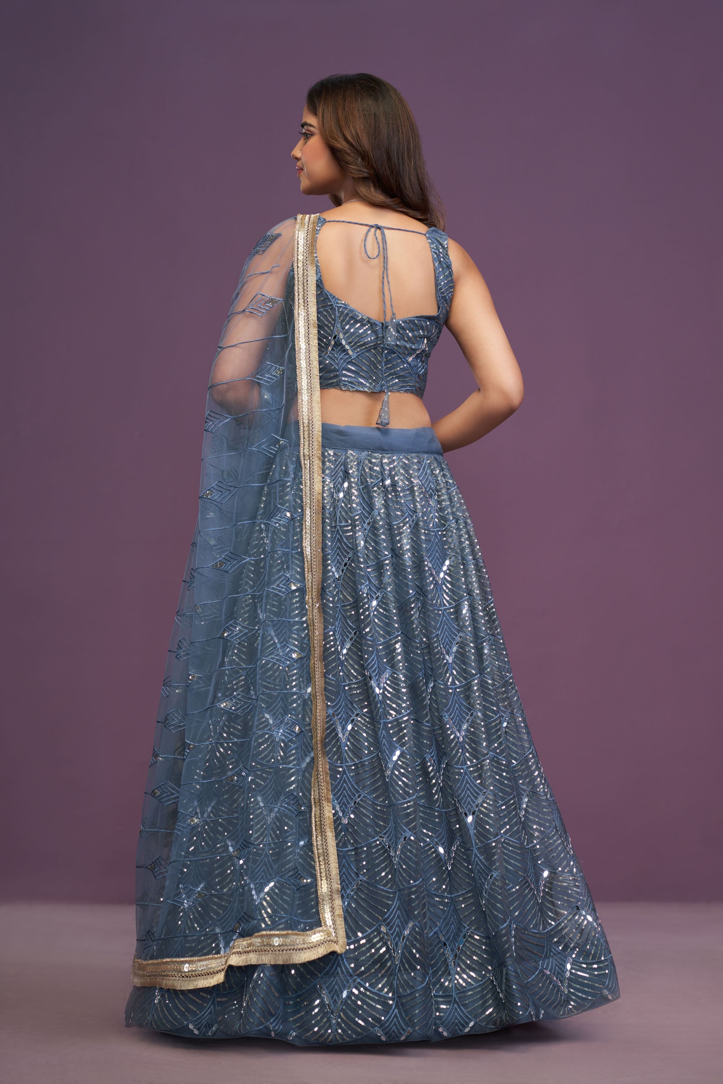 Blue Butterfly Net real Mirror With Sequence Embroidery Work Lehenga Choli