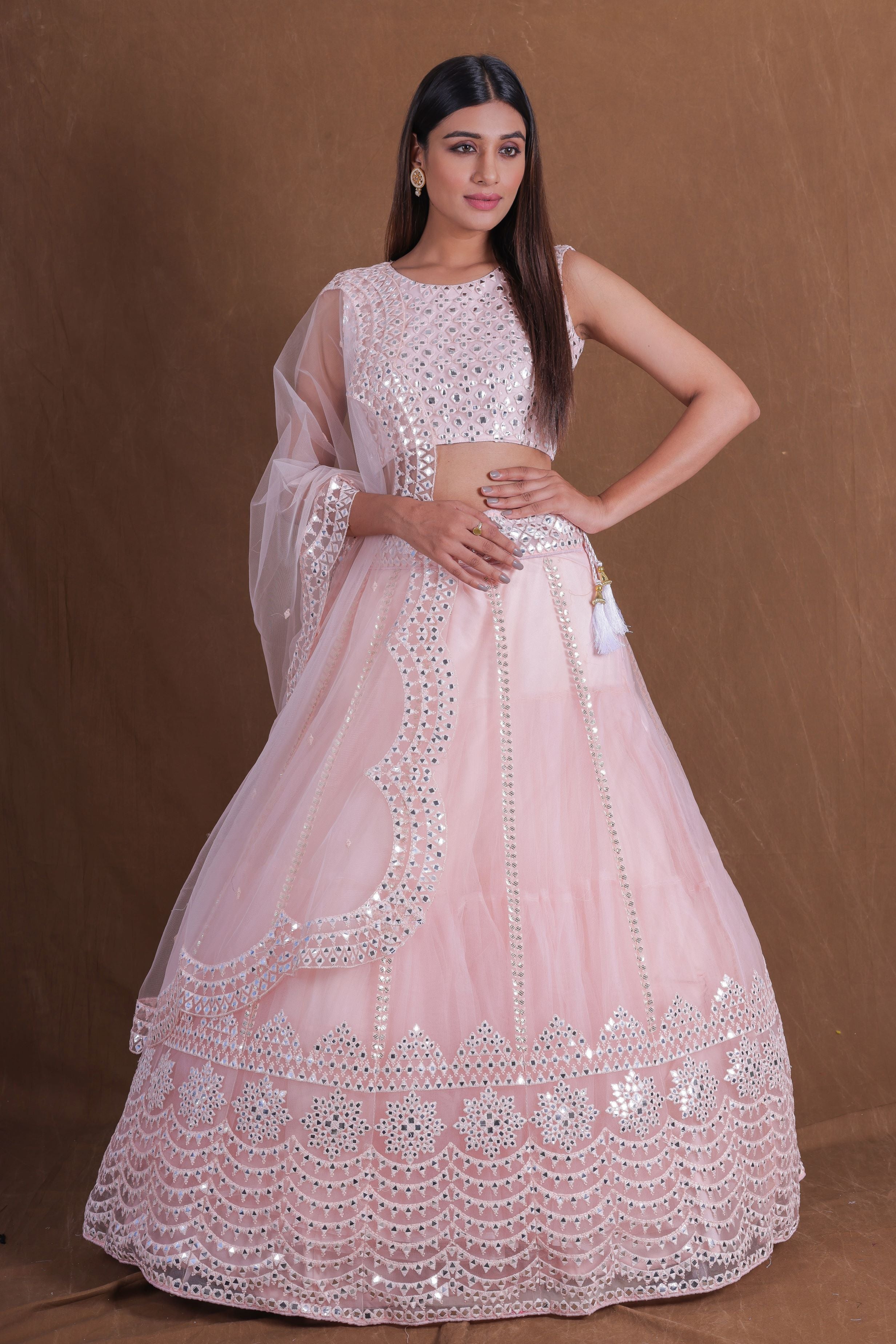 Pink Soft Net Embroidery Foli Mirror Work Lehenga Choli