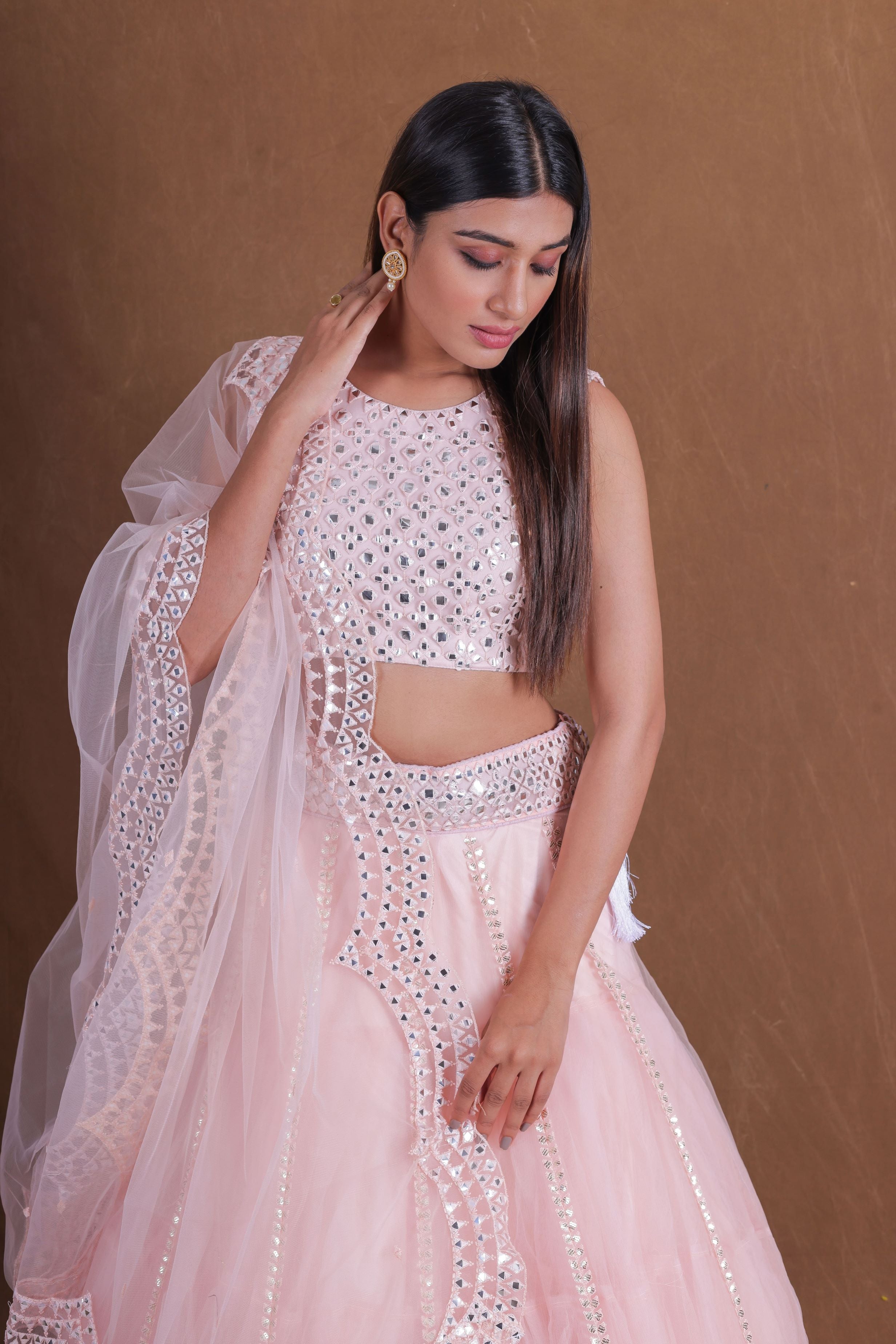 Pink Soft Net Embroidery Foli Mirror Work Lehenga Choli