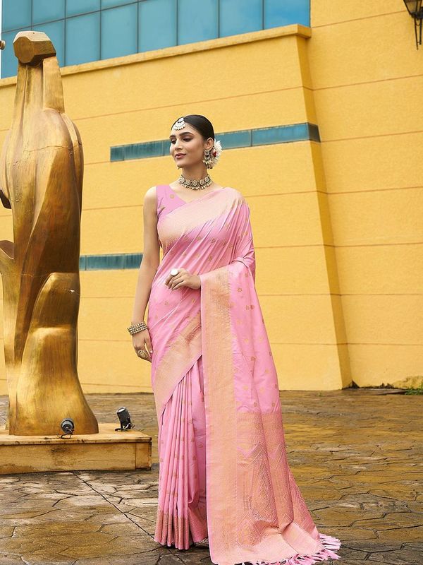 Pink Wevon Jacquard Designer Nylon Banarasi Saree