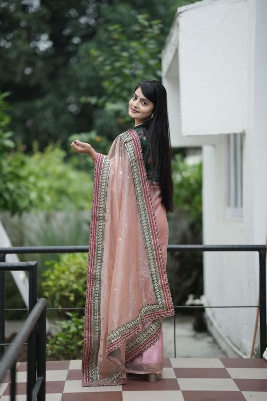 Pink Sequance Embroidery Work Banarasi Crush Saree