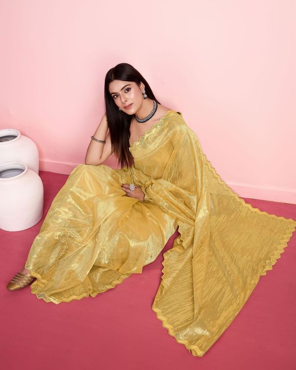 Yellow Thread & Sequance Embroidery Work Silver Twill Net Saree