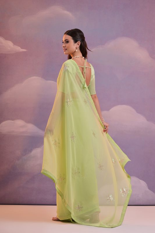Parrot Designer Sequance Embroidery Work Georgette Saree