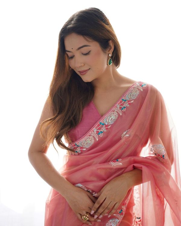 Peach Multy Thread & Sequance Embroidery Work Gold Twill Net Saree