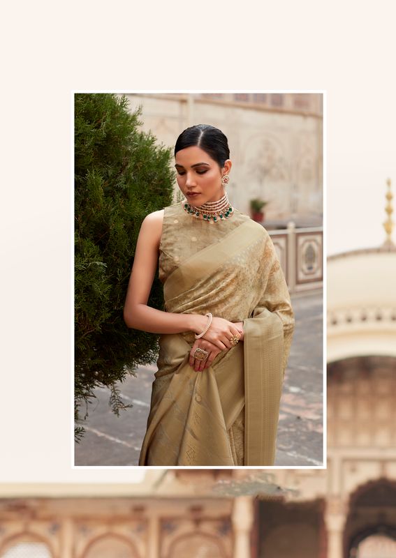 Dusty Brown Weaving Border Designer & Digital Printed Tissue Silk Saree