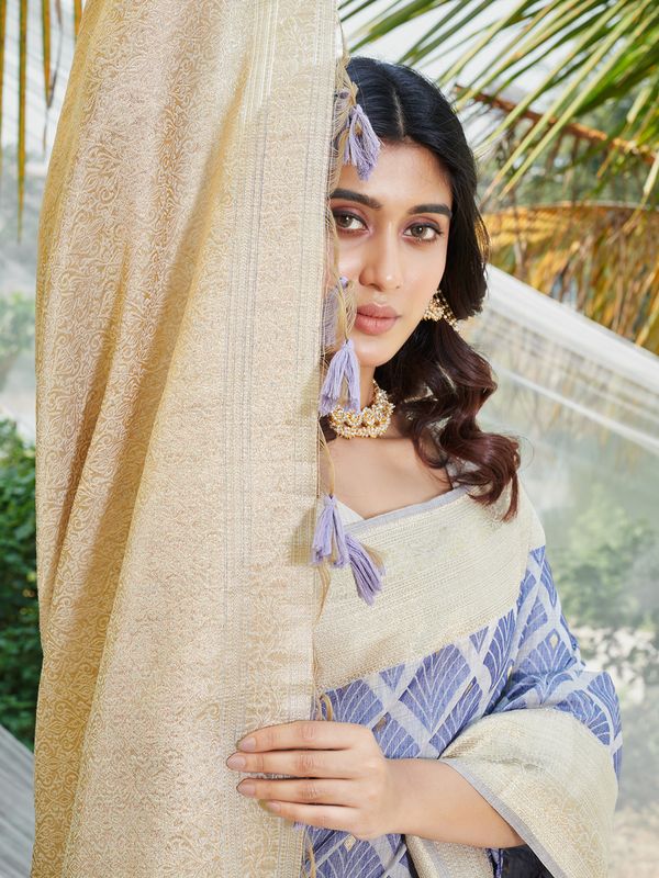 Blue Wevon & Designer Printed Cotton Saree