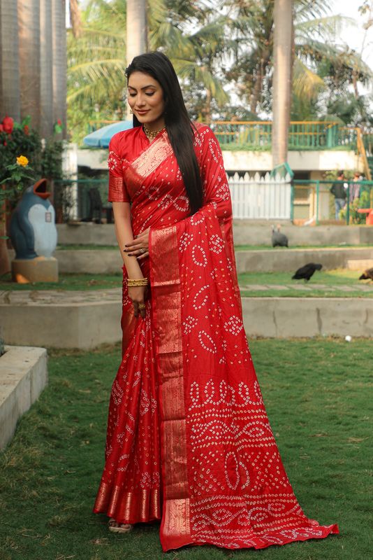 Red Wevon Border Designer & Handmade Bandhej Printed Handloom Silk Saree