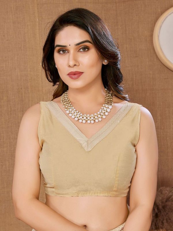 Beige Designer Thread Embroidery Work Soft Net Saree