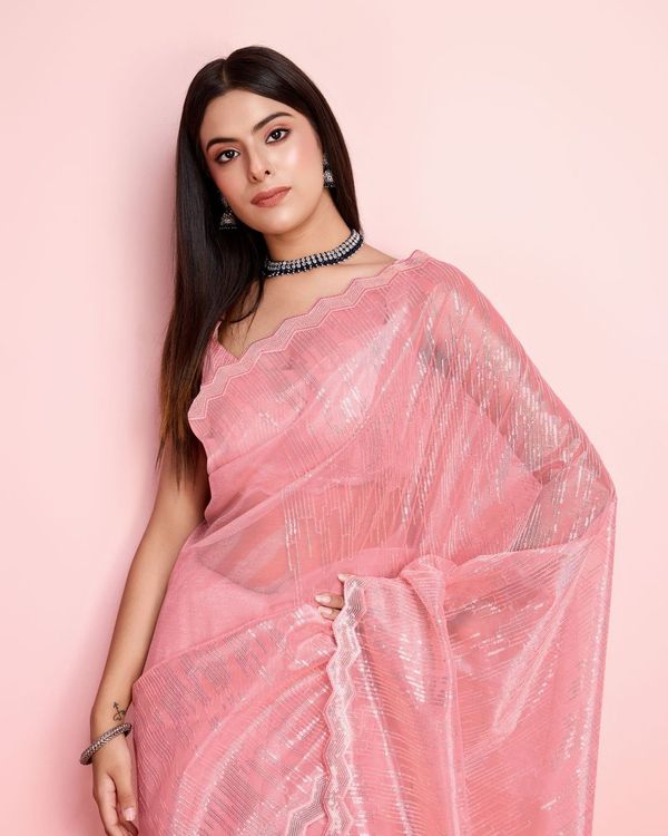 Rust Thread & Sequance Embroidery Work Silver Twill Net Saree