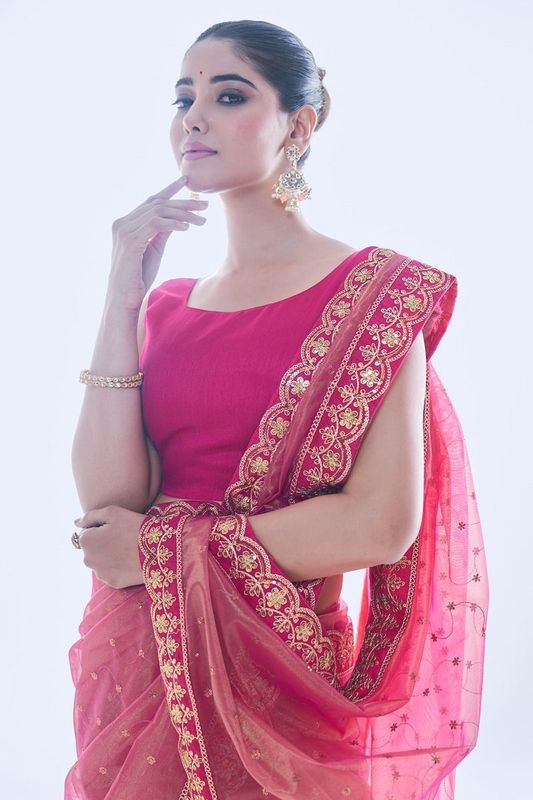 Pink Sequance Embroidery Work Golden Net Saree
