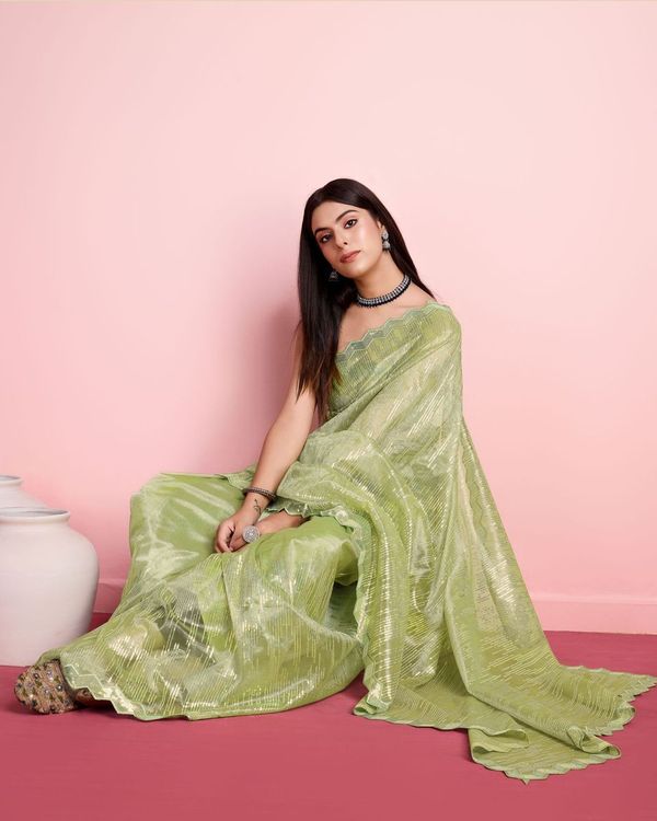 Pista Thread & Sequance Embroidery Work Silver Twill Net Saree