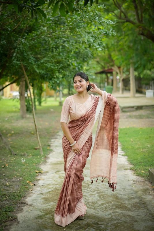 Brown Wevon Kantha Designer & Printed Tussar Silk Saree