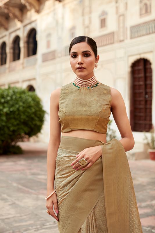 Dusty Brown Weaving Border Designer & Digital Printed Tissue Silk Saree