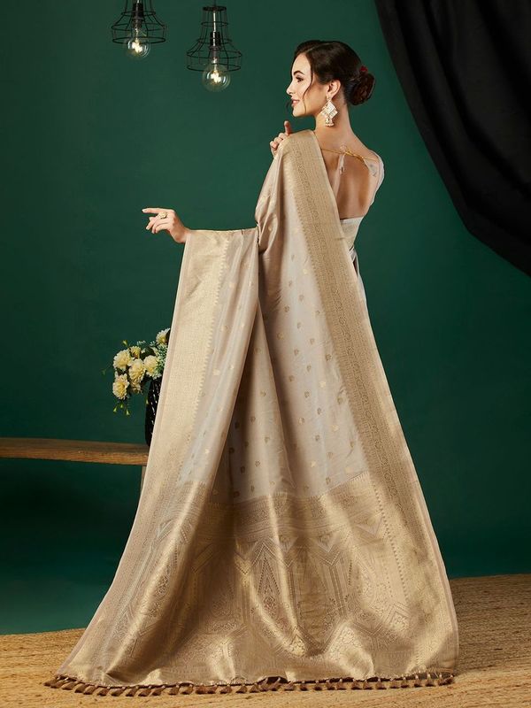 Grey Wevon Jacquard Designer Nylon Banarasi Saree
