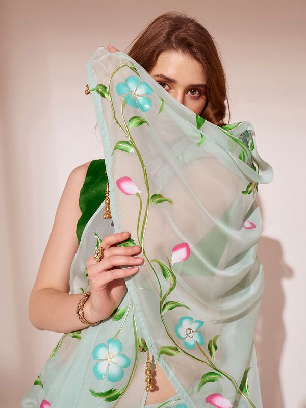Pista Designer Brush Printed Blooming Organza Saree