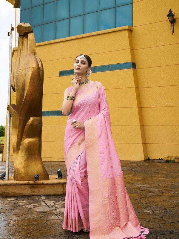 Pink Wevon Jacquard Designer Nylon Banarasi Saree