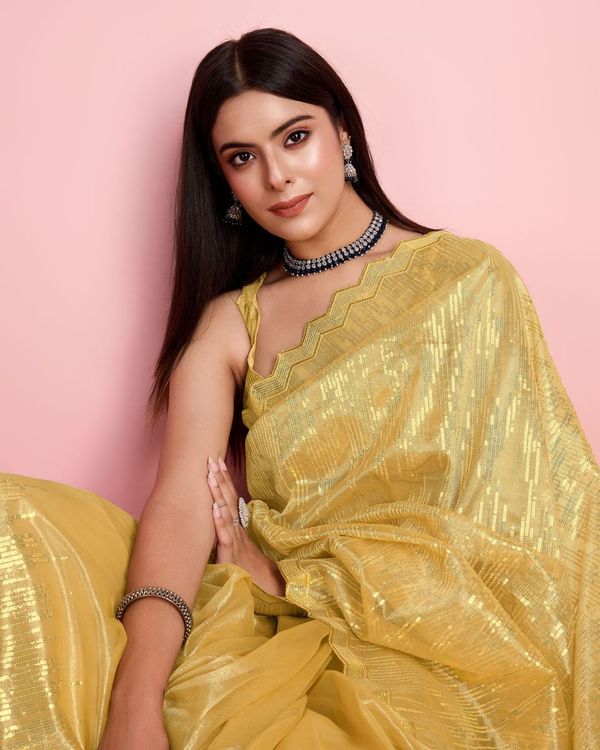 Yellow Thread & Sequance Embroidery Work Silver Twill Net Saree