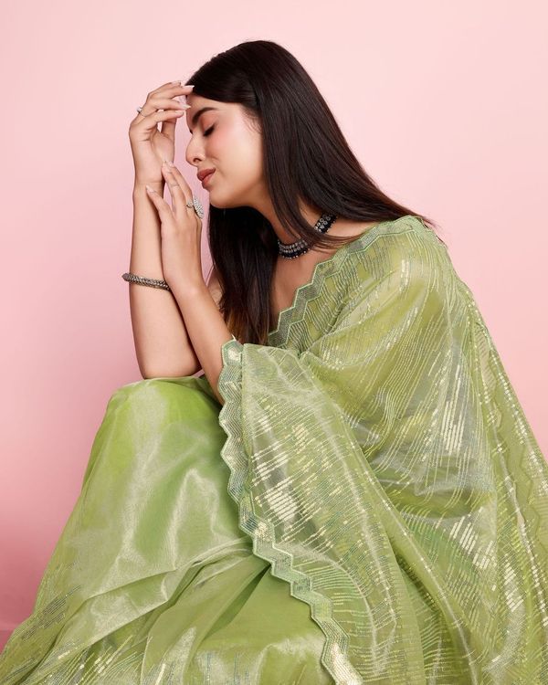 Pista Thread & Sequance Embroidery Work Silver Twill Net Saree