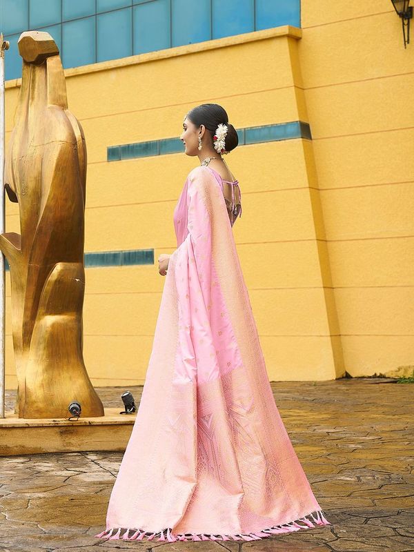 Pink Wevon Jacquard Designer Nylon Banarasi Saree