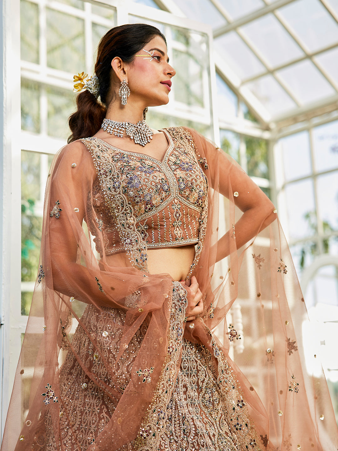 Brown net with Beads & Zarkan embroidery Lehenga choli & Dupatta