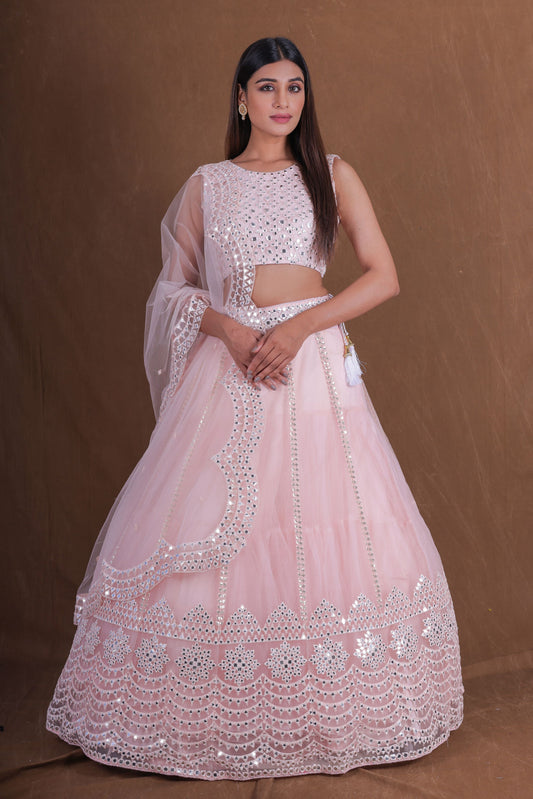 Pink Soft Net Embroidery Foli Mirror Work Lehenga Choli