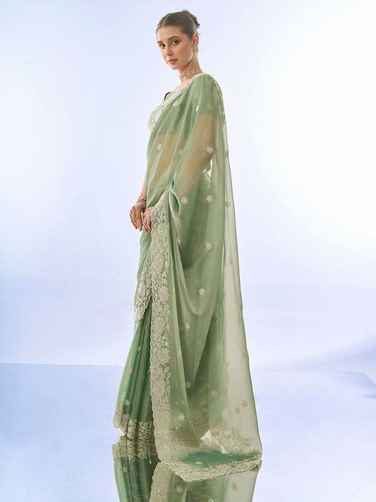 Pista Designer Sequance Work Burburry Saree