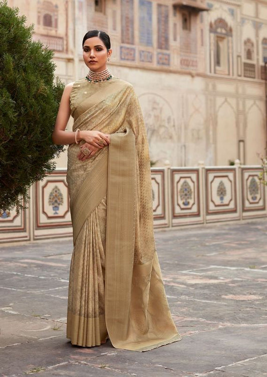 Dusty Brown Weaving Border Designer & Digital Printed Tissue Silk Saree