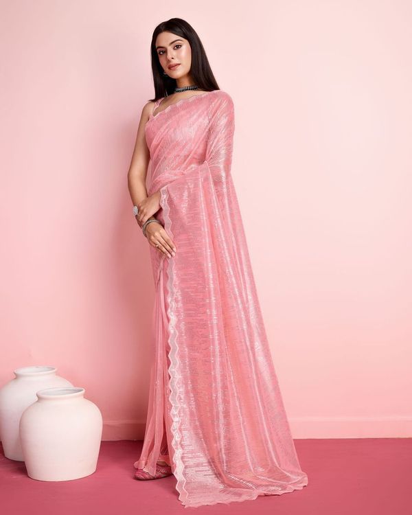 Rust Thread & Sequance Embroidery Work Silver Twill Net Saree