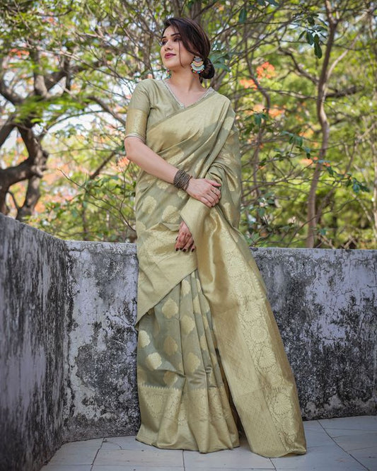 Pista Wevon Jari Designer Chanderi Silk Saree