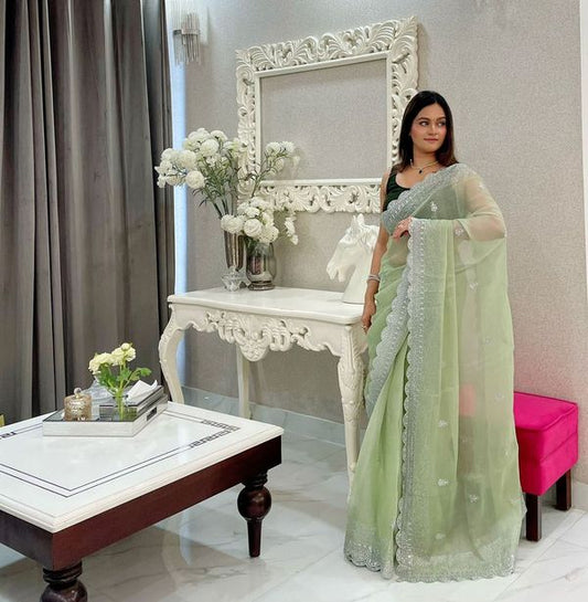 Pista Silver Jari & Sequance Embroidery Work Burberry Silk Saree