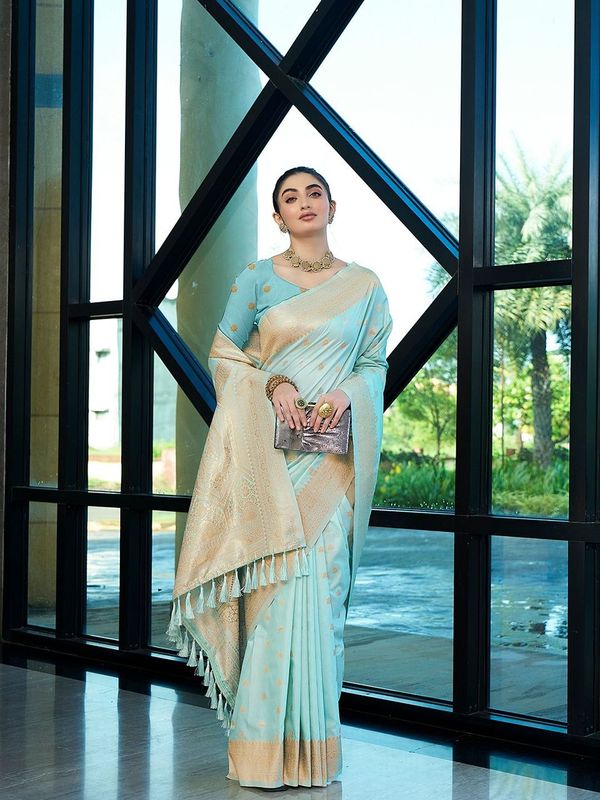 Aqua Wevon Jacquard Designer Nylon Banarasi Saree