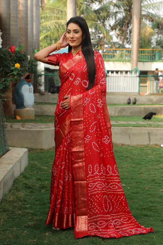 Red Wevon Border Designer & Handmade Bandhej Printed Handloom Silk Saree