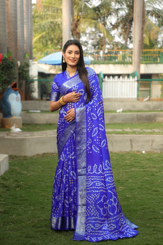 Blue Wevon Border Designer & Handmade Bandhej Printed Handloom Silk Saree